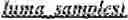 Fig. 243 - Subpicture dependent signaling in video bitstreams