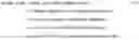 Fig. 03 - Frame-rate scalable video coding