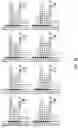 Fig. 27 - Image signal encoding/decoding method and apparatus therefor