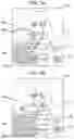 Fig. 08 - Video distribution device, video distribution method, and video distribution process
