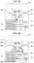 Fig. 09 - Video distribution device, video distribution method, and video distribution process