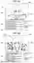 Fig. 10 - Video distribution device, video distribution method, and video distribution process