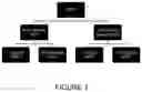 Fig. 02 - Multi-Radio Access Technology Dual Connectivity Support in Minimization Drive Tests