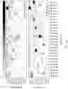 Fig. 28 - Intelligence and learning in O-RAN for 5G and 6G cellular networks