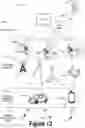 Fig. 12 - Server selection for vehicle communications and applications