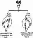 Fig. 01 - Power control in carrier aggregation with multiple transmission reception points
