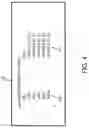 Fig. 05 - RADIO NODE AND RADIO COMMUNICATION CONTROL METHOD