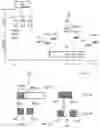 Fig. 05 - Method for transmitting data between a node and a base station in a communication system, and base station and node