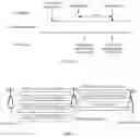 Fig. 08 - Method for determining association between logical channel groups, apparatus, and system