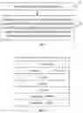 Fig. 03 - INFORMATION INDICATION METHOD AND APPARATUS, DEVICE, AND STORAGE MEDIUM