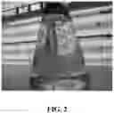 Fig. 03 - ASPARAGOPSIS ALGAE NAMED 'BROMINATA'