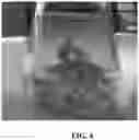 Fig. 05 - ASPARAGOPSIS ALGAE NAMED 'BROMINATA'