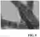 Fig. 06 - ASPARAGOPSIS ALGAE NAMED 'BROMINATA'