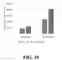 Fig. 11 - ASPARAGOPSIS ALGAE NAMED 'BROMINATA'