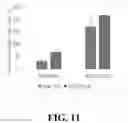 Fig. 12 - ASPARAGOPSIS ALGAE NAMED 'BROMINATA'