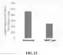 Fig. 14 - ASPARAGOPSIS ALGAE NAMED 'BROMINATA'