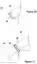 Fig. 10 - Cascading planter caddy for use on stairs or other stepped surfaces having levels of varying elevation