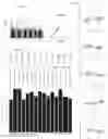 Fig. 03 - METHODS OF ENHANCING GRAIN YIELD, PLANTS AND PRODUCTS GENERATED THEREBY