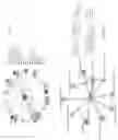 Fig. 16 - METHODS OF ENHANCING GRAIN YIELD, PLANTS AND PRODUCTS GENERATED THEREBY