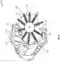 Fig. 05 - Dental chew toy