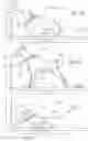 Fig. 06 - Animal safety constraint system