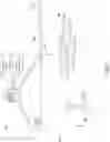 Fig. 07 - Camera controller for aquaculture behavior observation