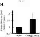 Fig. 06 - Method for integrating biological tissues with a vascular system