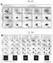 Fig. 08 - Method for integrating biological tissues with a vascular system