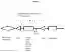 Fig. 02 - GENETIC MODIFICATION OF PIGS FOR XENOTRANSPLANTATION