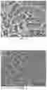 Fig. 03 - DMSO-FREE CRYOPRESERVATION SOLUTION AND PREPARATION METHOD AND USE THEREOF