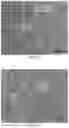Fig. 05 - DMSO-FREE CRYOPRESERVATION SOLUTION AND PREPARATION METHOD AND USE THEREOF