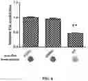 Fig. 05 - Methods and compositions for inhibiting formation of biofilms