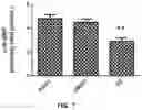 Fig. 08 - Methods and compositions for inhibiting formation of biofilms