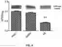 Fig. 11 - Methods and compositions for inhibiting formation of biofilms