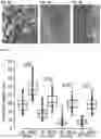 Fig. 04 - Plant growth promoting microbial compositions