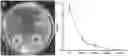 Fig. 01 - Method for controlling tobacco bacterial wilt and application of NaHS in controlling tobacco bacterial wilt