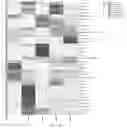 Fig. 11 - Method for controlling tobacco bacterial wilt and application of NaHS in controlling tobacco bacterial wilt
