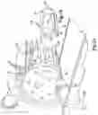 Fig. 03 - CLEANING OF FOOD PRODUCT MOULDING INSERTS