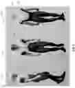 Fig. 43 - Fluid-based exoskeletal body armor with climate control