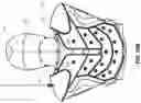 Fig. 46 - Fluid-based exoskeletal body armor with climate control