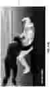 Fig. 82 - Fluid-based exoskeletal body armor with climate control