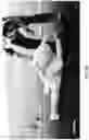 Fig. 87 - Fluid-based exoskeletal body armor with climate control