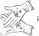 Fig. 04 - IMPREGNATED GLOVE