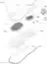 Fig. 01 - Massage insole/sole structure capable having breathable effect