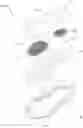 Fig. 08 - Massage insole/sole structure capable having breathable effect