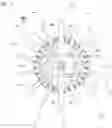 Fig. 05 - HAIR BRUSH