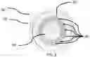Fig. 07 - MAKEUP BRUSH CLEANING DEVICE