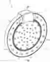 Fig. 01 - Pivotable dual showerhead with multiple spray modes