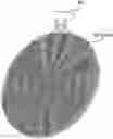 Fig. 01 - CLEANSING PAD WITH A SCOURING PORTION AND A SCRUBBING PORTION AND PRODUCTION METHOD THEREOF