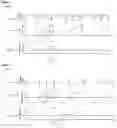 Fig. 06 - COLLECTION AND ANALYSIS OF A VOLUME OF EXHALED GAS WITH COMPENSATION FOR THE FREQUENCY OF A BREATHING PARAMETER